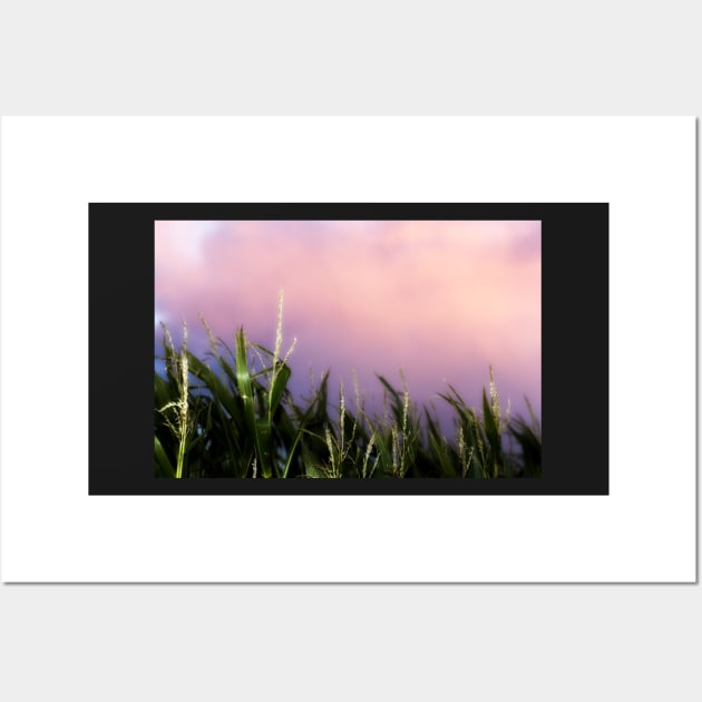 Sweet Corn Sunset Wall Art by heidiannemorris